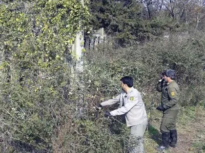 ۵ هکتار از پاک ملی بوجاق  کیاشهر از گیاه مهاجم آروجیا پاکسازی شد