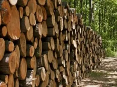 کشف ۱۰ تن چوب جنگلی دپو شده درعلی آبادکتول