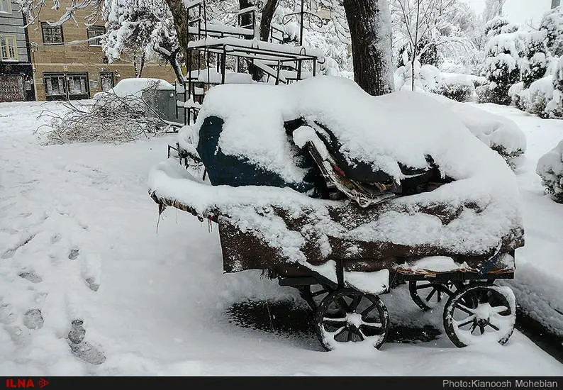 صبح برفی تهران