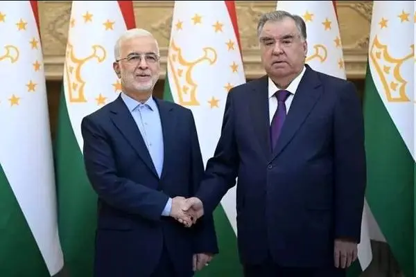 دیدار وزیر کشور با رئیس جمهور تاجیکستان