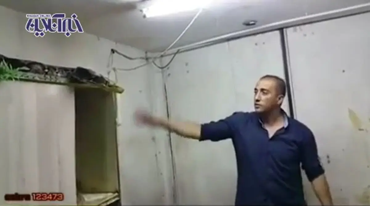  مبارزه یک مرد فلسطینی با مار عظیم‌الجثه