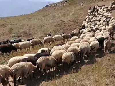 عشایر خوزستان در سال آینده، بی‌گدار به آب نزنند/ ثبت سماک الزامی است