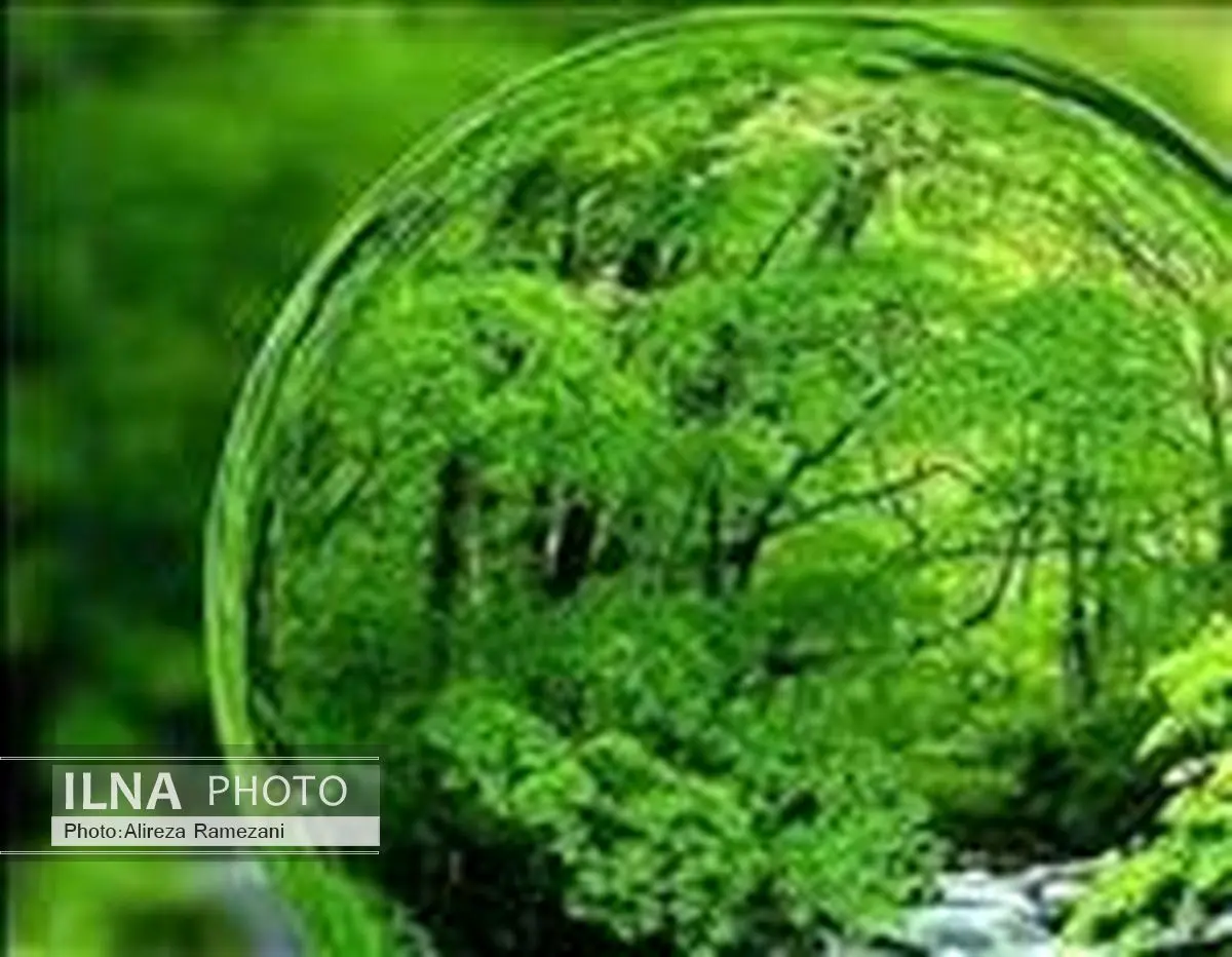 تجارت الکترونیکی؛راه حلی برای حفظ منابع طبیعی است