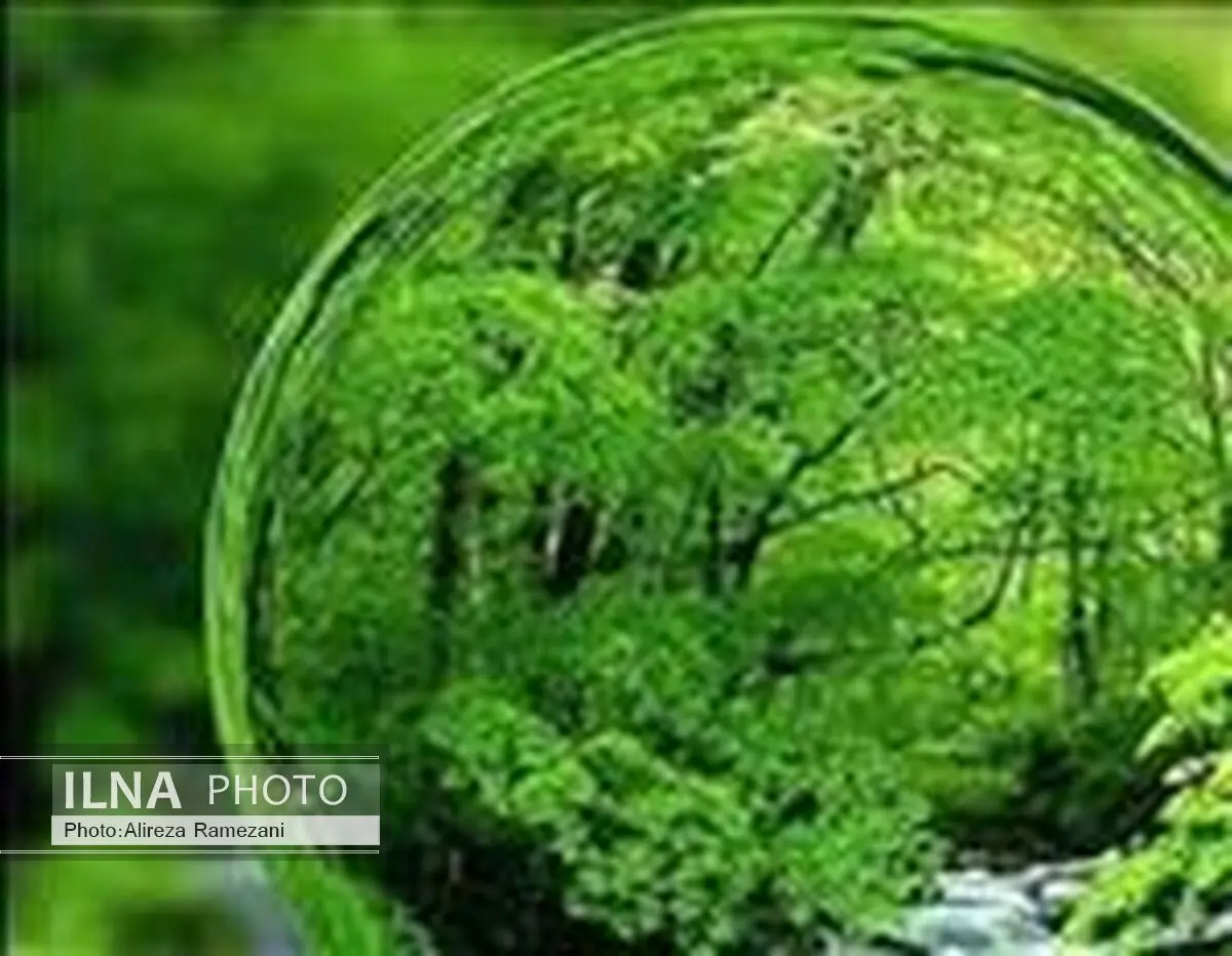 تجارت الکترونیکی؛راه حلی برای حفظ منابع طبیعی است