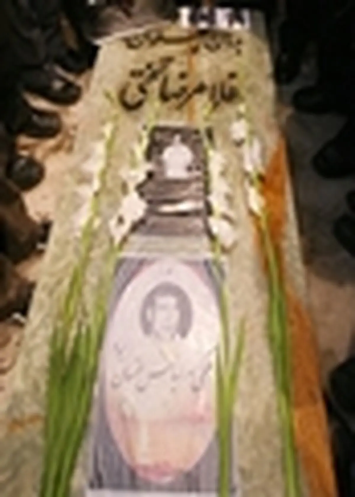 حضور آزادکاران سرشناس ژاپنی در جام تختی