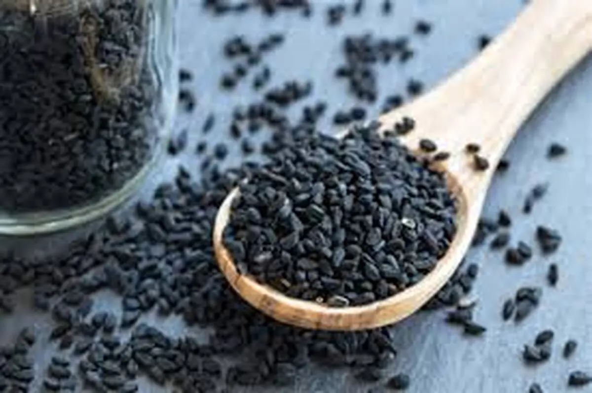 خواص بی نظیر سیاه دانه در طب اسلامی