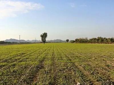 کردستان در گسترش و توسعه پروژه ایکاردا موفق عمل کرد 