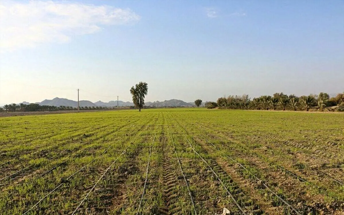 کردستان در گسترش و توسعه پروژه ایکاردا موفق عمل کرد 
