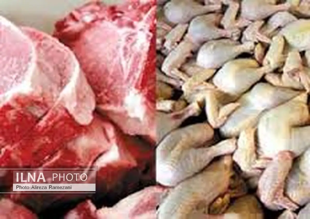 زنجیره عرضه و توزیع گوشت قرمز و مرغ باید کوتاه شود