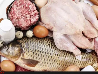 ثبات یک‌ماهه قیمت مرغ در بازار / 8600 تومان قیمت منطقی و بدون تغییر