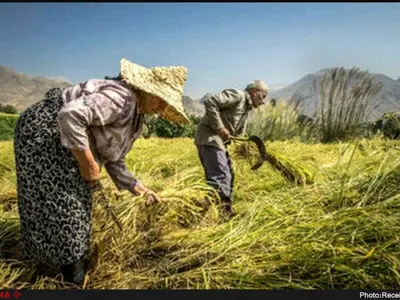 مشوق‌های بیمه‌ای برای بیمه‌شدگان در نظر گرفته شد