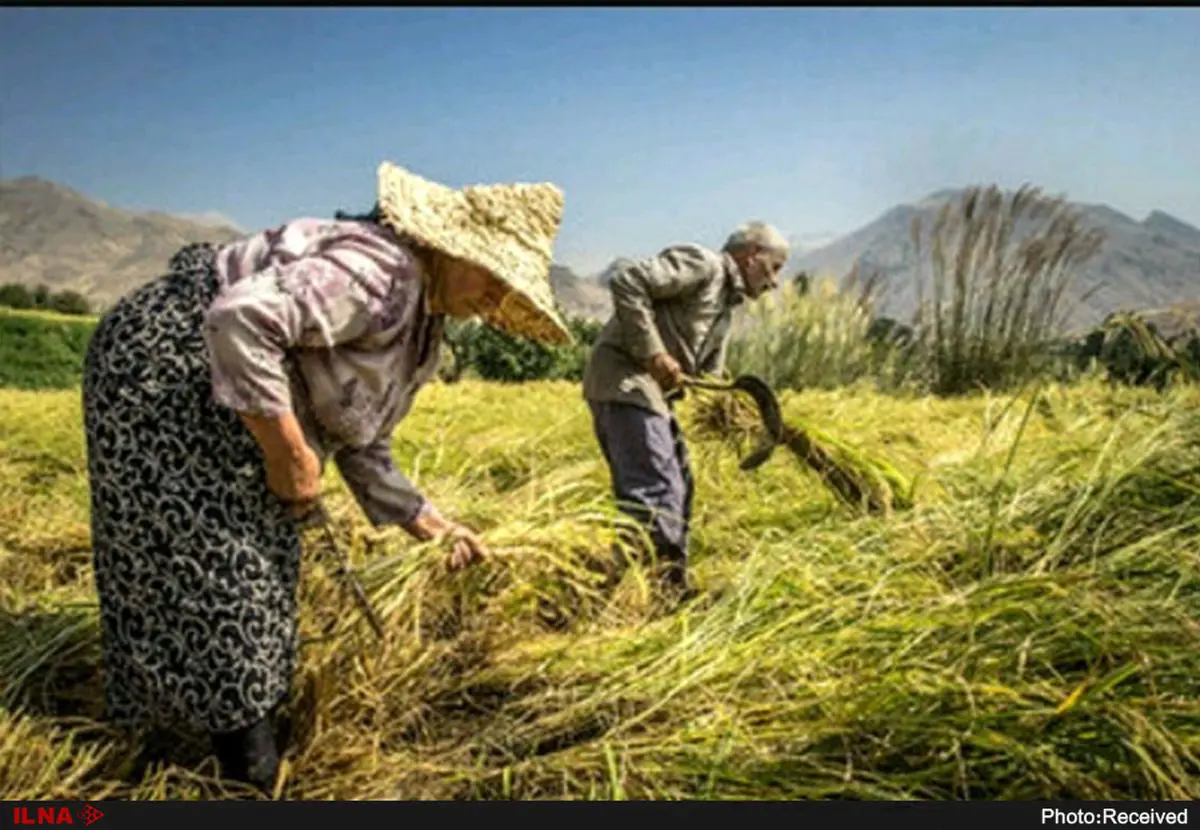 مشوق‌های بیمه‌ای برای بیمه‌شدگان در نظر گرفته شد