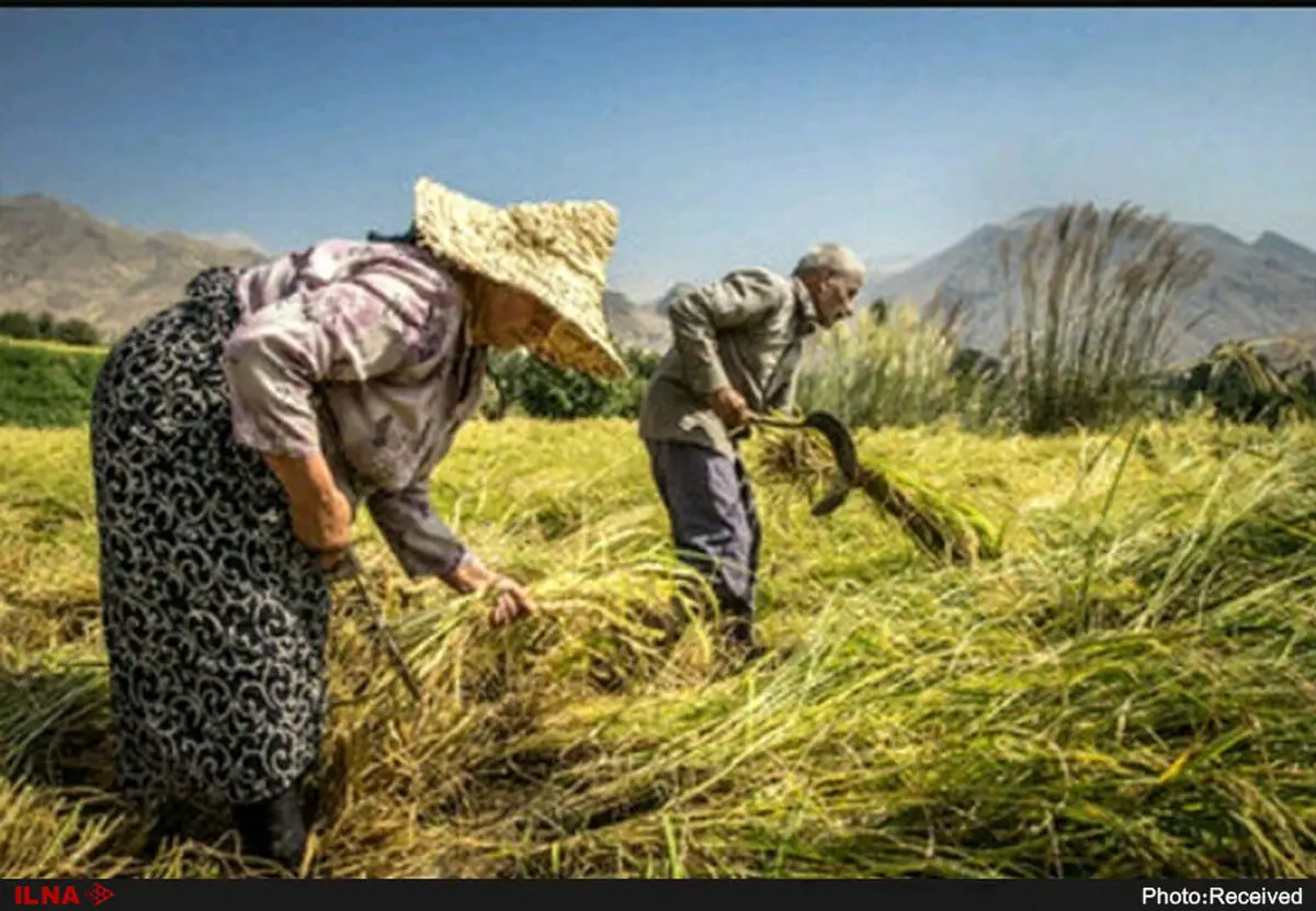 مشوق‌های بیمه‌ای برای بیمه‌شدگان در نظر گرفته شد