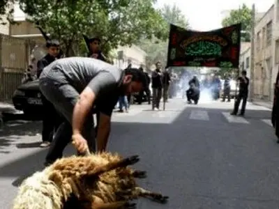 خودداری شهروندان قزوینی از ذبح دام در مسیر دسته‌های عزاداری