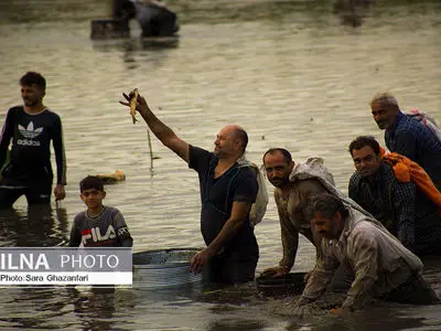 مراسم چپی زنی و قرق شکنی در آبندان رودبست بابلسر
