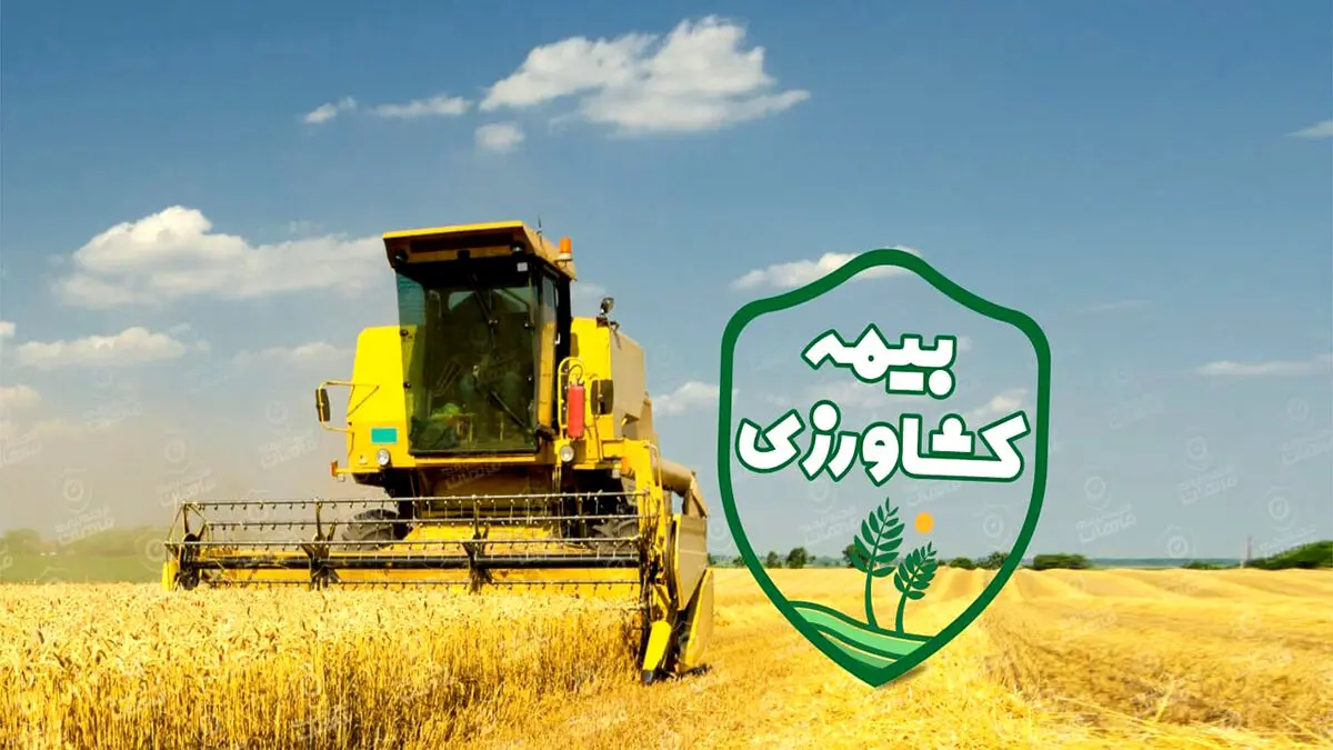 بیمه محصولات کشاورزی باعث کاهش ریسک خسارات کشاورزان می‌شود
