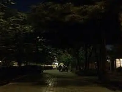 برخی بوستان های کرج در تاریکی مطلق هستند/ شهردار پیگیری کند