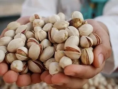 ارزآوری بیش از یک میلیارد دلاری محصول پسته برای کشور