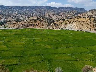  موقوفه مرشدی، اراضی ملی و منتسب به سازمان منابع طبیعی کشور است