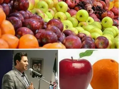 قیمت سیب و پرتقال شب عید، مشخص شد/با گران فروشان برخورد می شود
