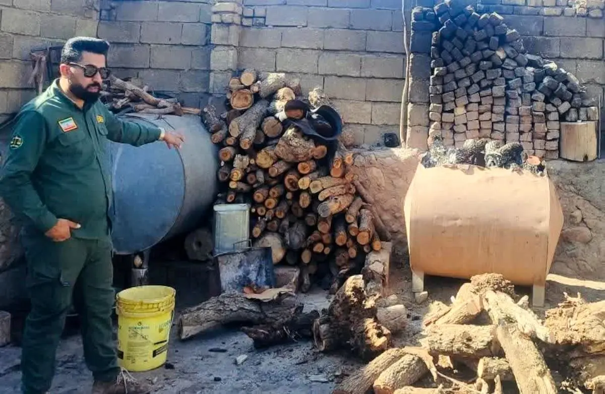 برخورد قاطع با کورههای زغالی غیرمجاز در دشت برم کازرون