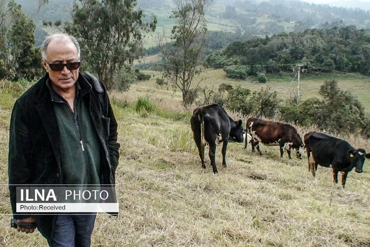 فیلم «کیارستمی و عصای گمشده» نامزد ٤ جایزه از جشنواره تندیس طلایی