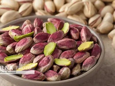 طعم طلای خندان در مغان در خاطره‌ها می‌ماند