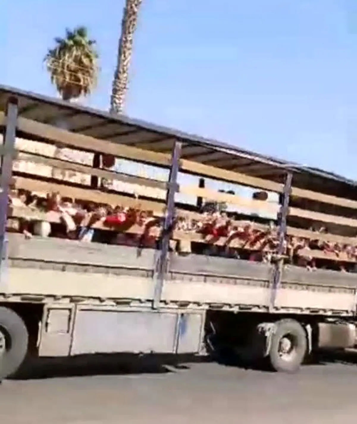 توضیح مدیرآموزش و پرورش جهرم درباره جابه جایی دانش آموزان یک مدرسه با کامیون 