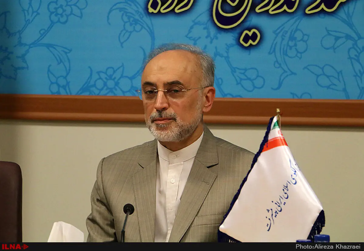 صالحی انتصاب رئیسی به ریاست قوه قضائیه را تبریک گفت