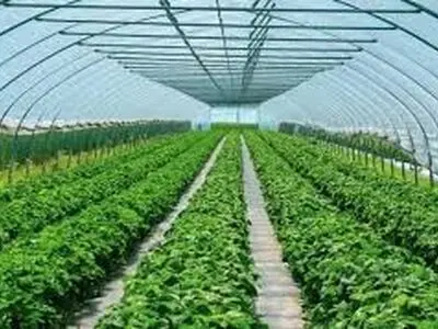 بزرگترین شهرک گلخانه‌ای در چهارمحال و بختیاری احداث می‌شود