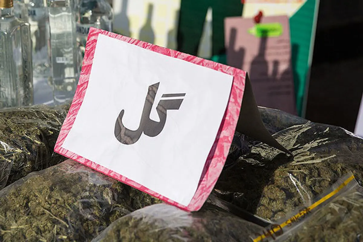 کشف 3 تن موادمخدر «گل» در استان قزوین/ دستگیری 3 نفر و سر دسته باند