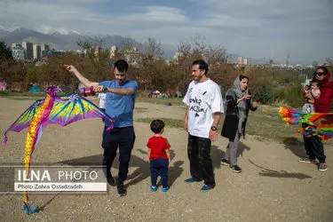 تک عکس /  بادبادک خیال