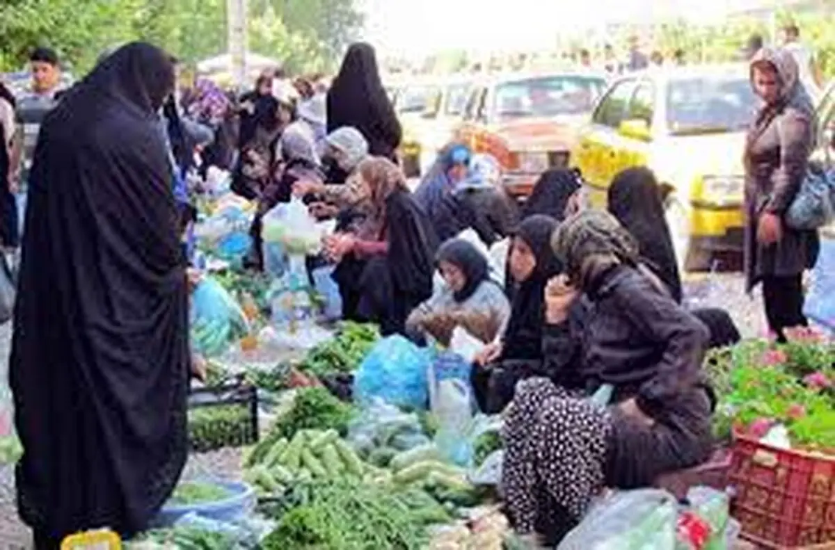  ۲۵۰ روستا بازار تا پایان سال راه‌اندازی می‌شود/ قیمت محصولات کشاورزی به نصف فروشگاه‌های زنجیره‌ای می‌رسد
