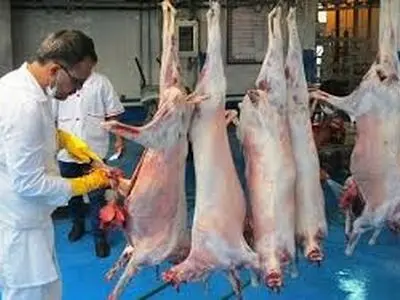 اجرای 709 مورد بازرسی ذبح دام در روزهای تاسوعا و عاشورای حسینی