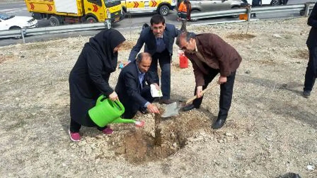 نهال کاری حاشیه آزاد راه تهران- پردیس آغاز شد