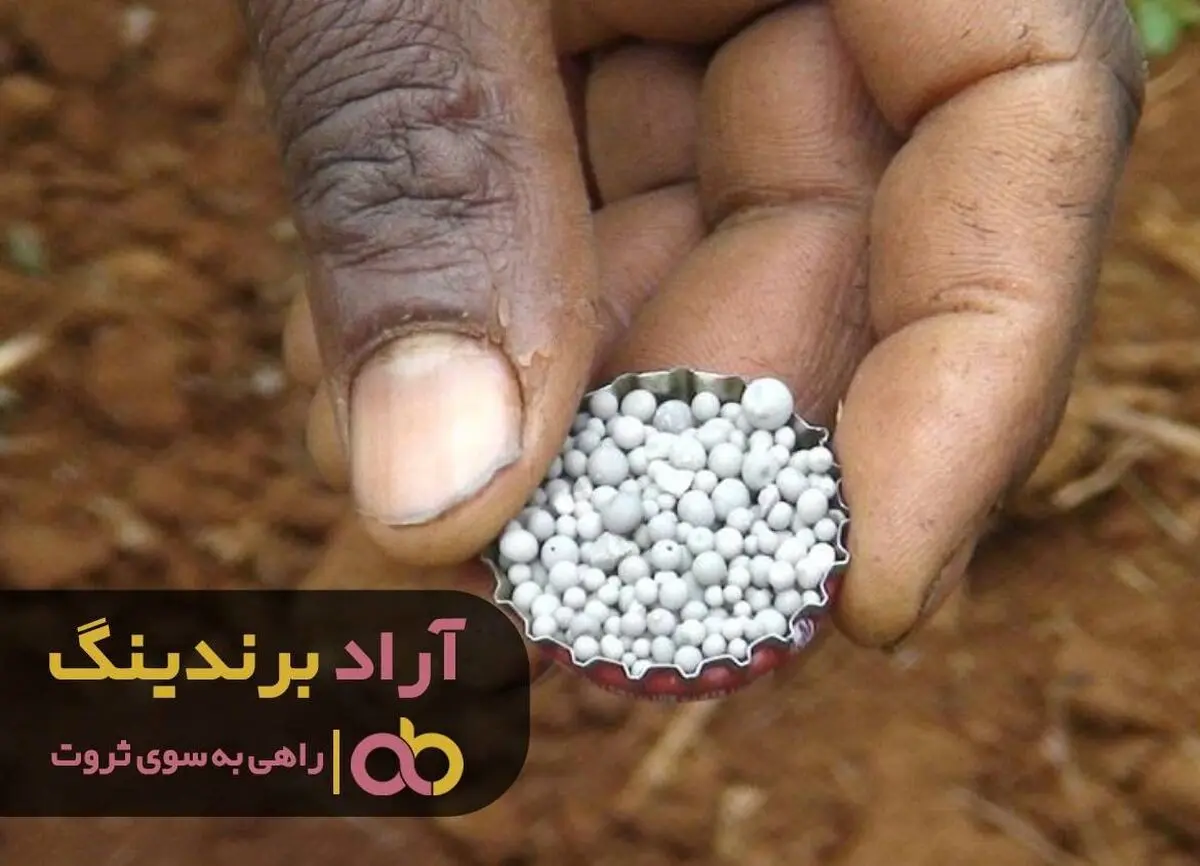 با کود شانس در خانه ی مرا زد
