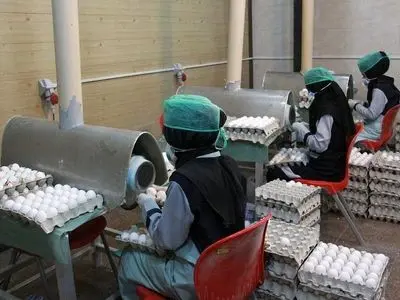 تولید مواد غذایی در اولویت است/ تغییر استراتژی در تامین مواد اولیه 