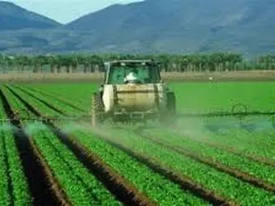 اختصاص 520 هزار هکتار از اراضی همدان برای طرح جهش تولید در دیم زارها