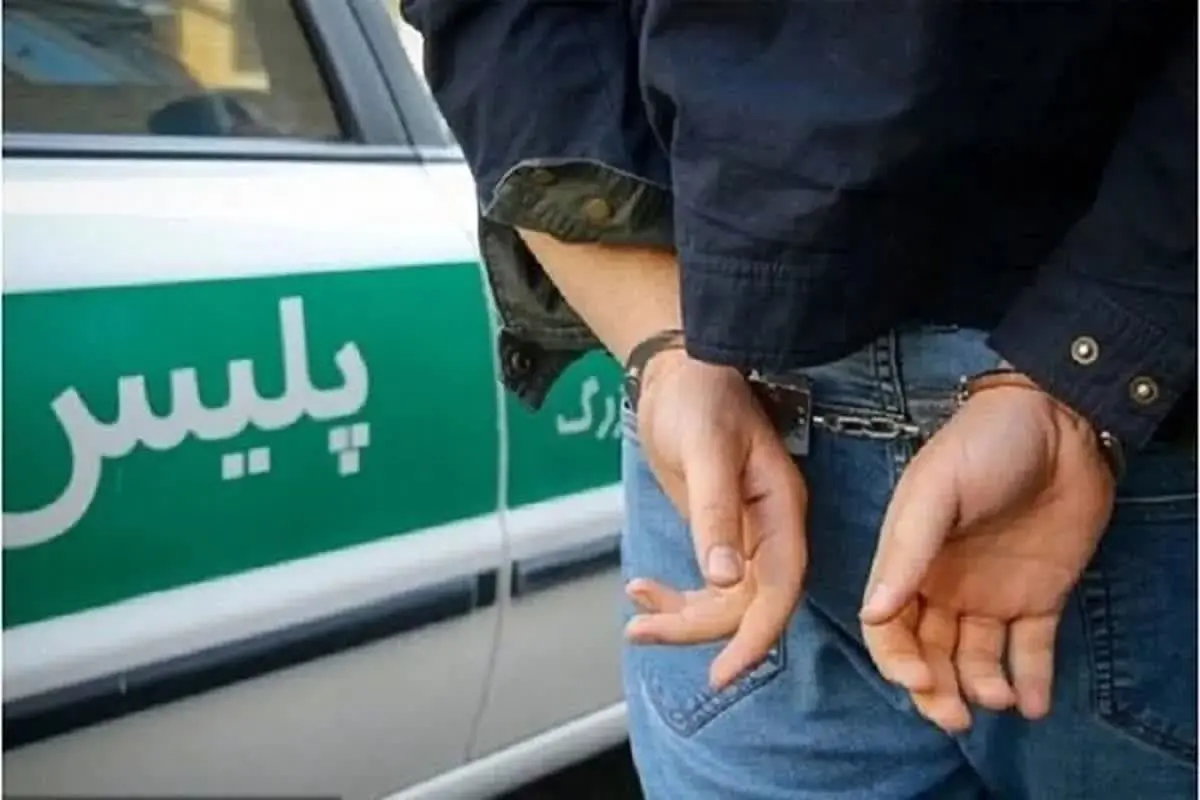 دستگیری اراذل و اوباش سابقه‌دار در بندرانزلی / کشف انواع سلاح و ۲۲ عدد گوشی سرقتی