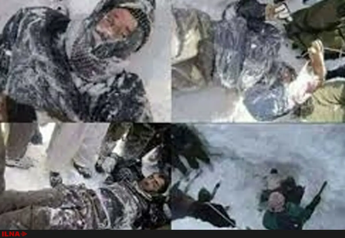 بیمه کردن کولبران فقط یک مُسَکِن موقت است