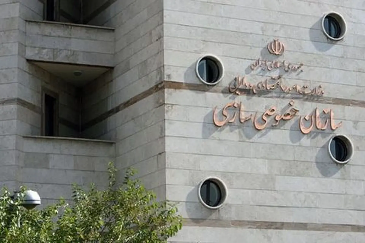 جزییات واگذاری ۱۰۰ درصدی سهام دو شرکت دولتی