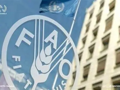 بعد 15 عاما.. إيران تستعيد حق التصويت في "الفاو"