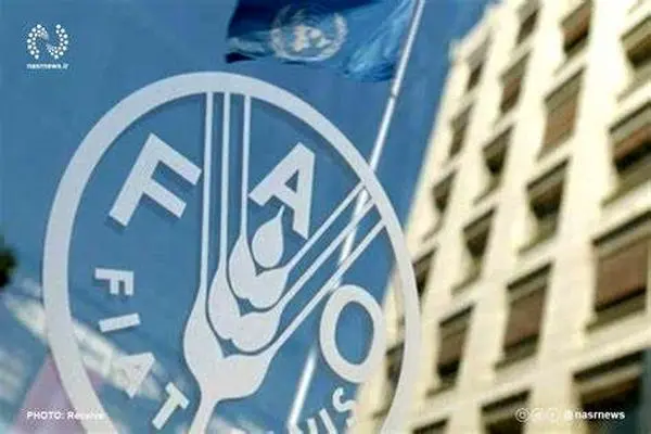 بعد 15 عاما.. إيران تستعيد حق التصويت في "الفاو"