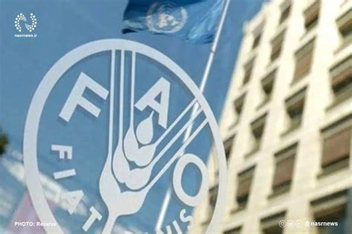 بعد 15 عاما.. إيران تستعيد حق التصويت في "الفاو"
