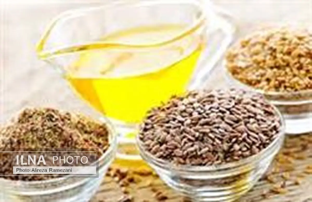 اعتبار خرید دانه‌های روغنی تامین است