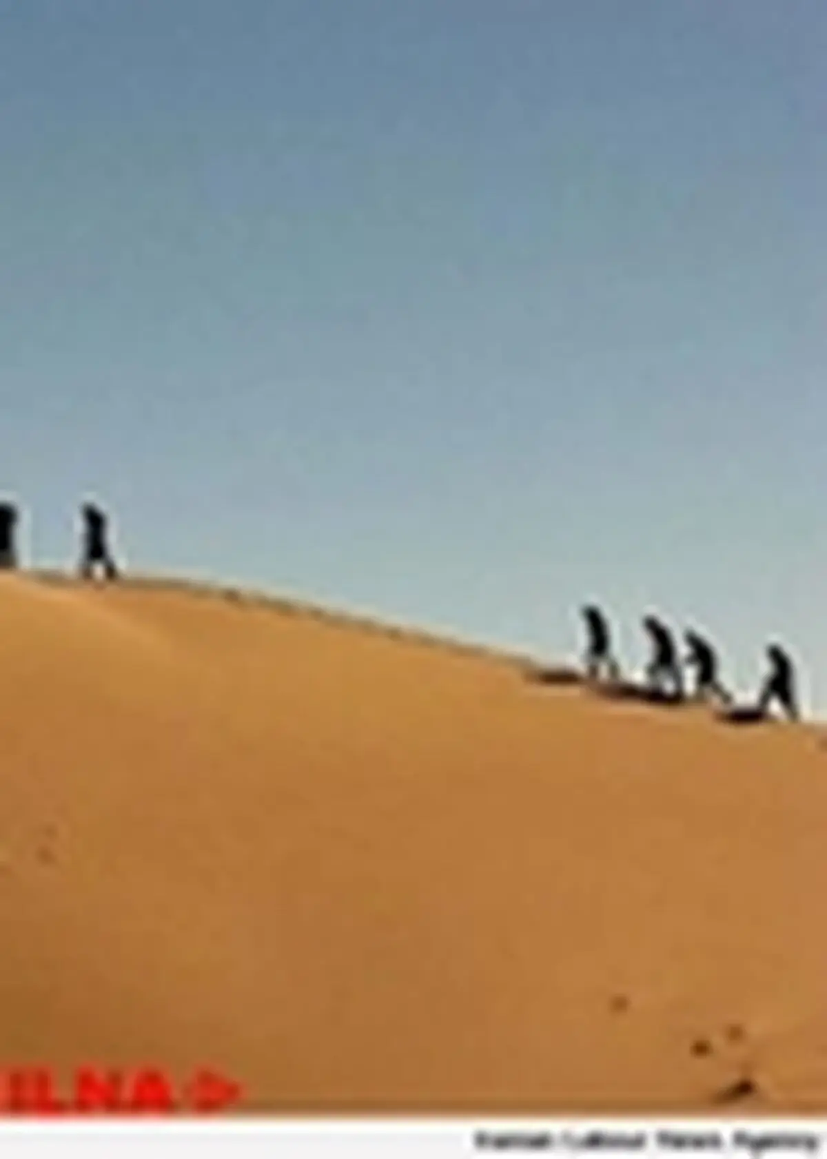 دانشجویان به کویر " مصر " می‌روند