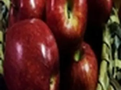سیب ایرانی برای ماندگاری واکسی نمی شود