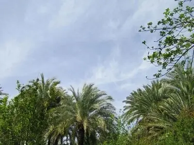 اعجازی زیبا در دل کویر + تصاویر