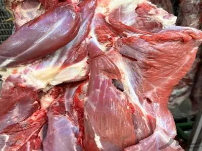 توزیع ۸۲۰ تُن گوشت بین هیات‌های مذهبی در آذربایجان غربی