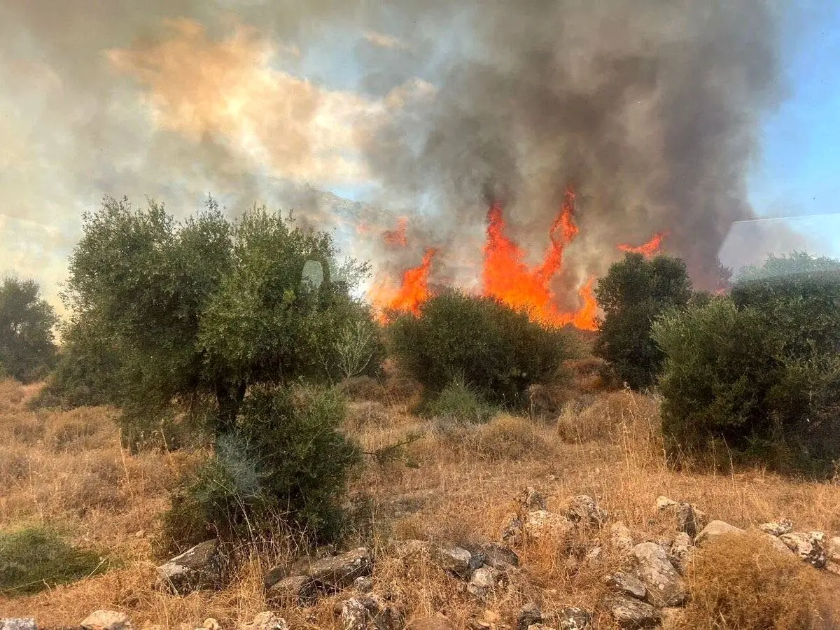 آتش‌سوزی در مجموعه بام خرم آباد حادثه آفرید 